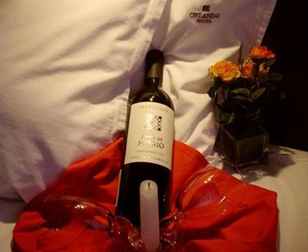 Отель Hotel Orlando София-55