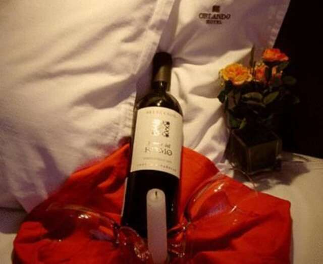 Отель Hotel Orlando София-54